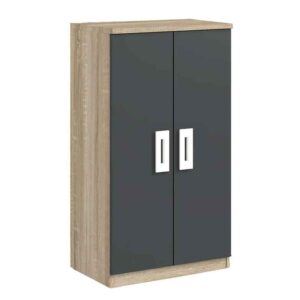 sapateira-2-portas-barata