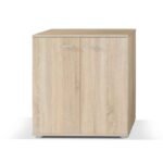 sapateira-2-portas-barata