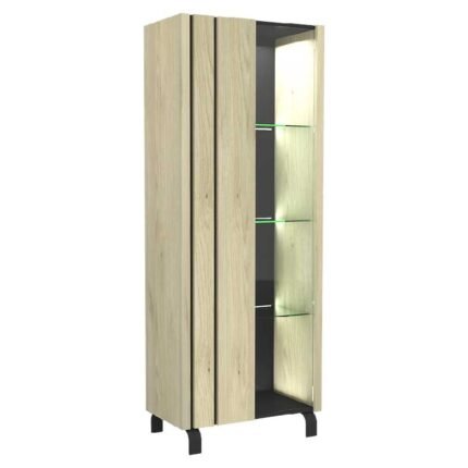 vitrine 1 porta moderna