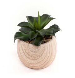 planta com vaso madeira