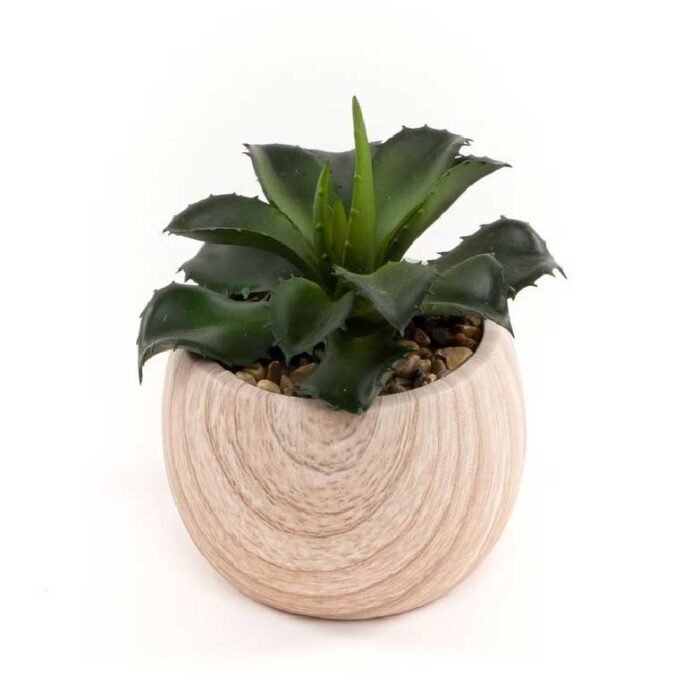 planta com vaso madeira