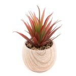 planta com vaso madeira