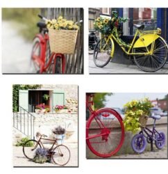 tela bicicleta