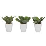 conjunto 3 vasos plantas