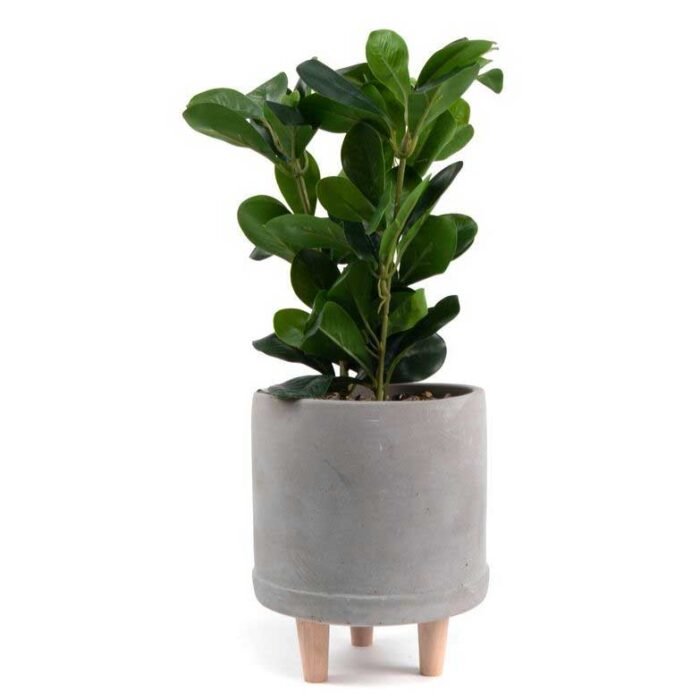 vaso cimento