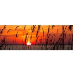 tela por do sol