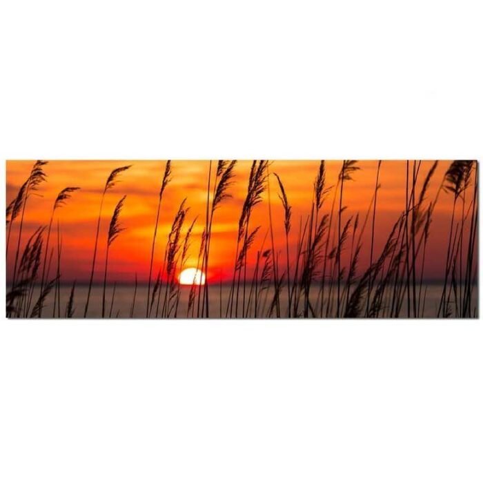 tela por do sol