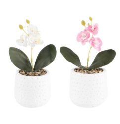 vaso-com-orquidea