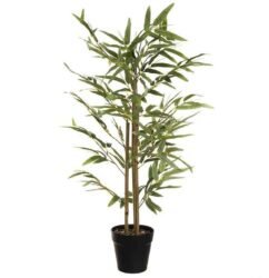 planta-bambu
