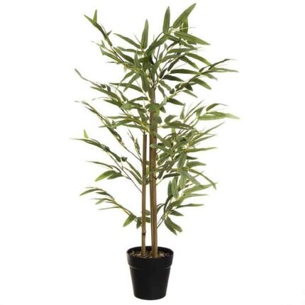 planta-bambu