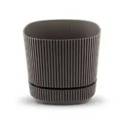 vaso planta