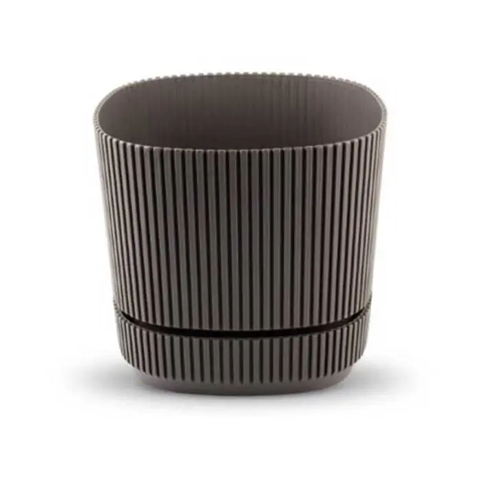 vaso planta