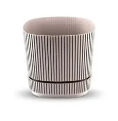 vaso planta