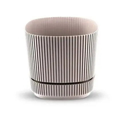 vaso planta