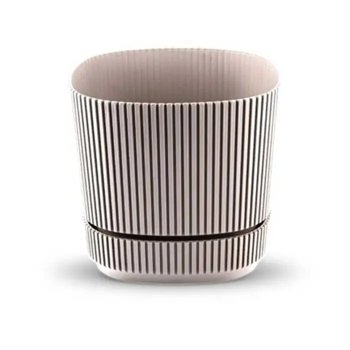 vaso planta