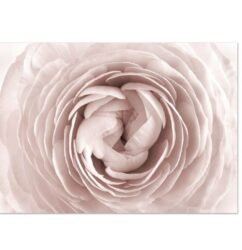 Tela Flor Rosa