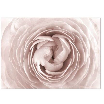 Tela Flor Rosa