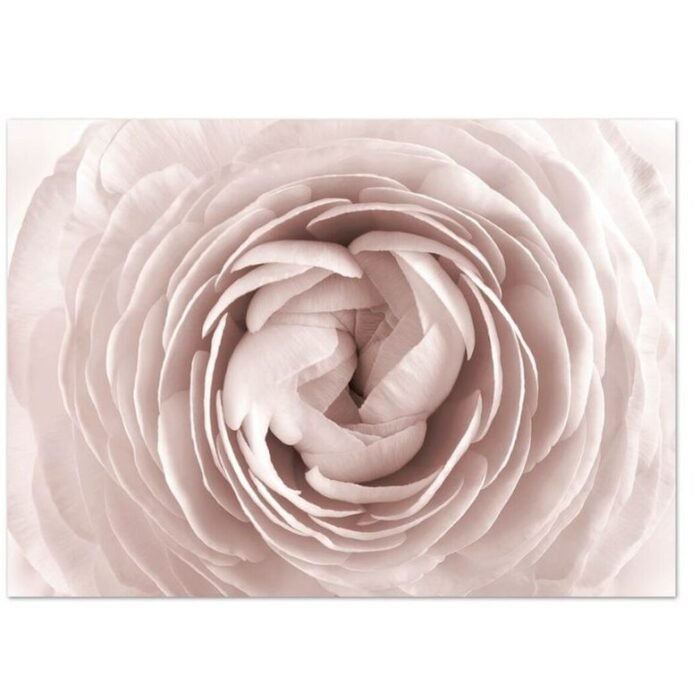 Tela Flor Rosa