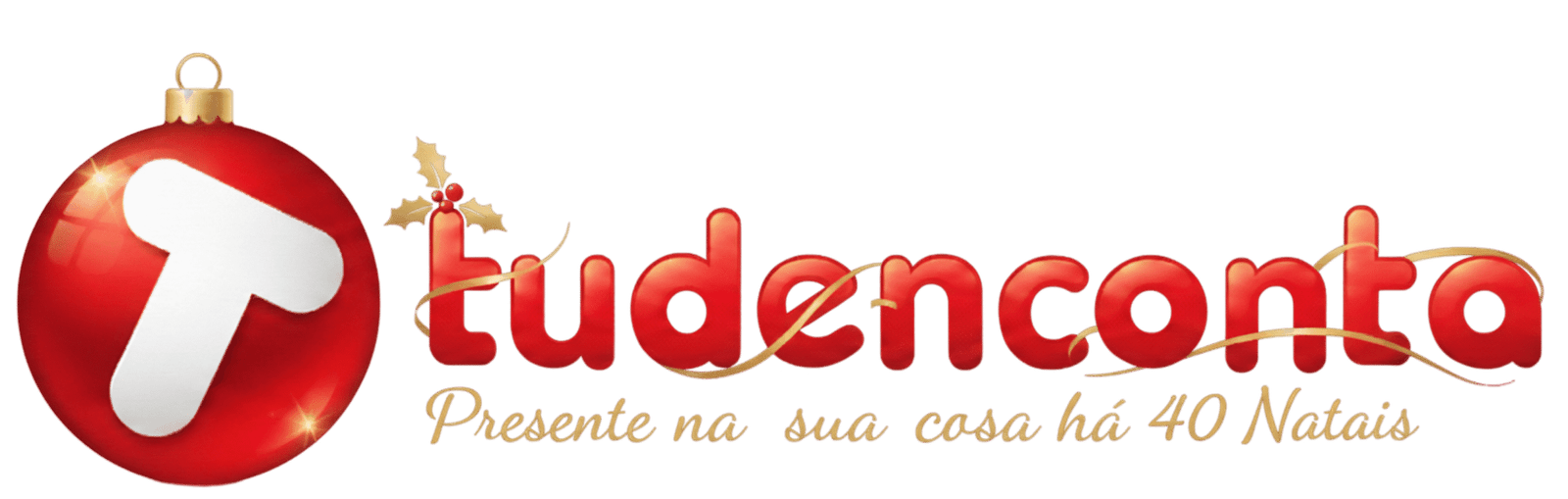 Tudenconta Logo natal