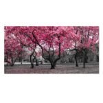 Tela Primavera