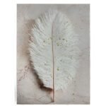 Tela Decorativa Pena Branca com Detalhes Dourados – 50 × 70 cm